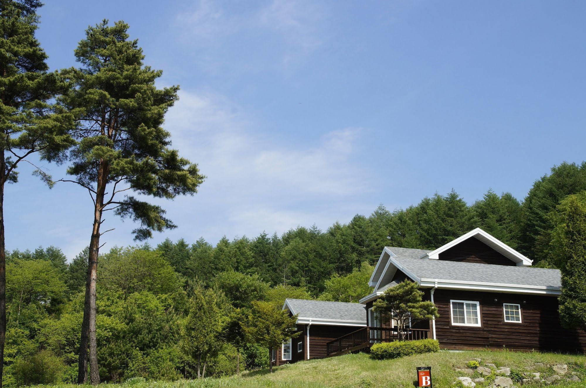 Resort Feliz Pyeongchang Exterior foto